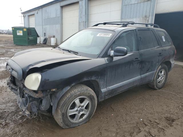 2003 Hyundai Santa Fe Gls VIN: KM8SC73D03U502295 Lot: 43738884