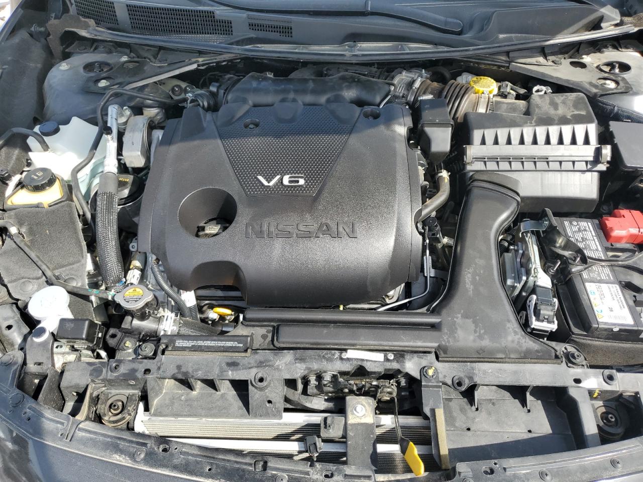 VIN: 1N4AA6EV6PC504060 2023 NISSAN MAXIMA