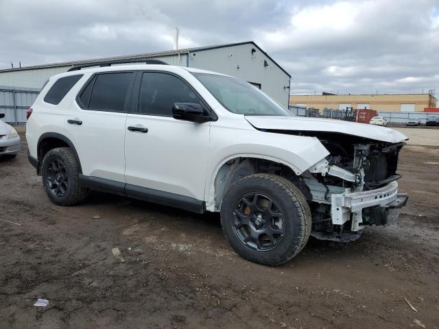 2023 HONDA PILOT TRAI 5FNYG1H64PB502177