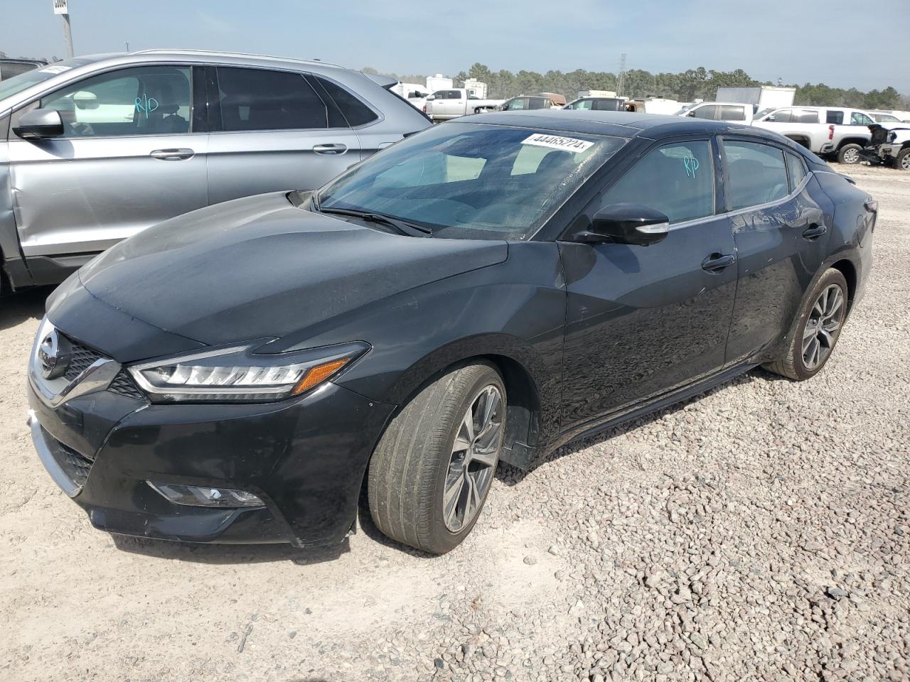 VIN: 1N4AA6EV6PC504060 2023 NISSAN MAXIMA