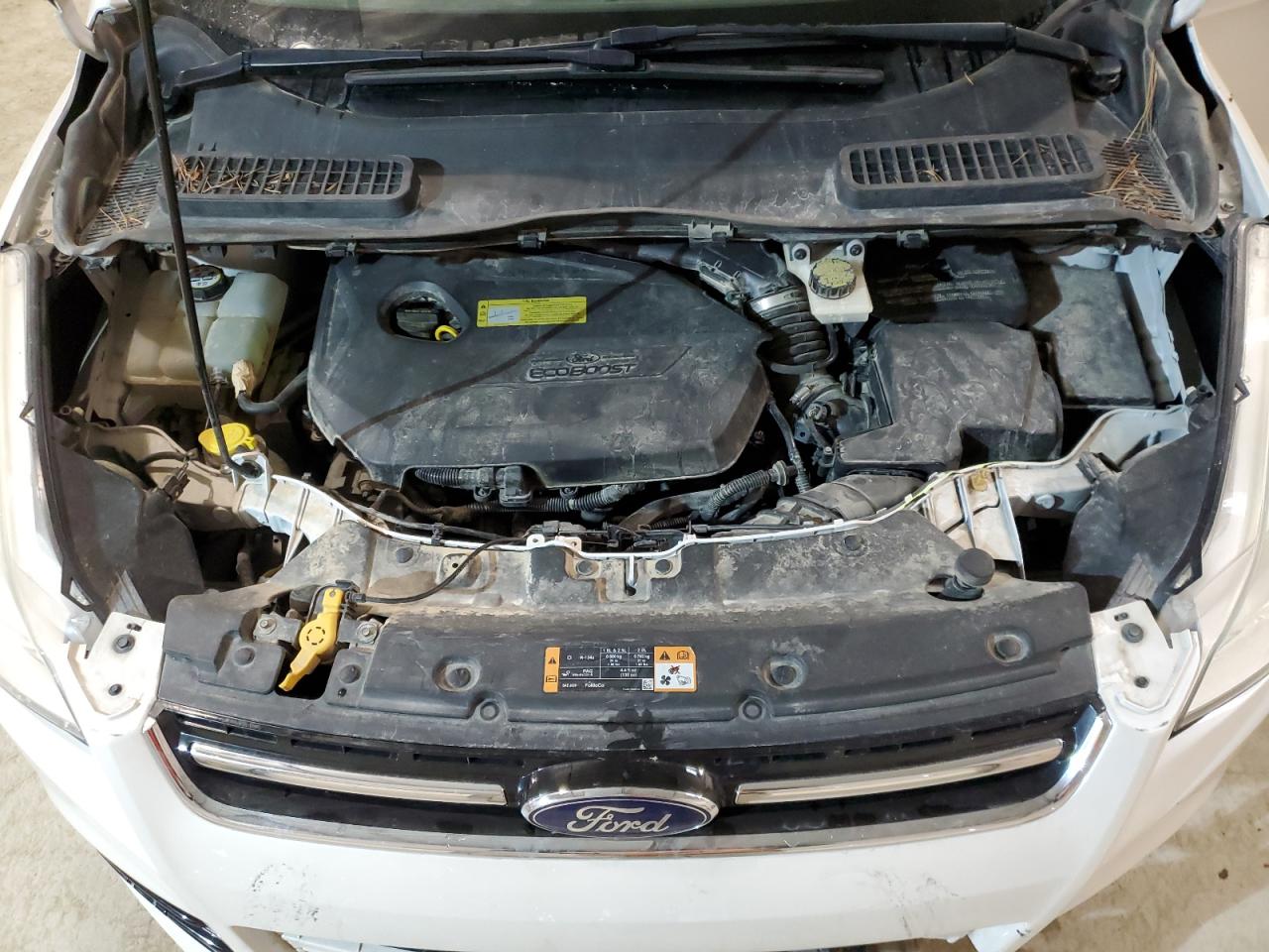 1FMCU0JX7EUA70202 2014 Ford Escape Titanium