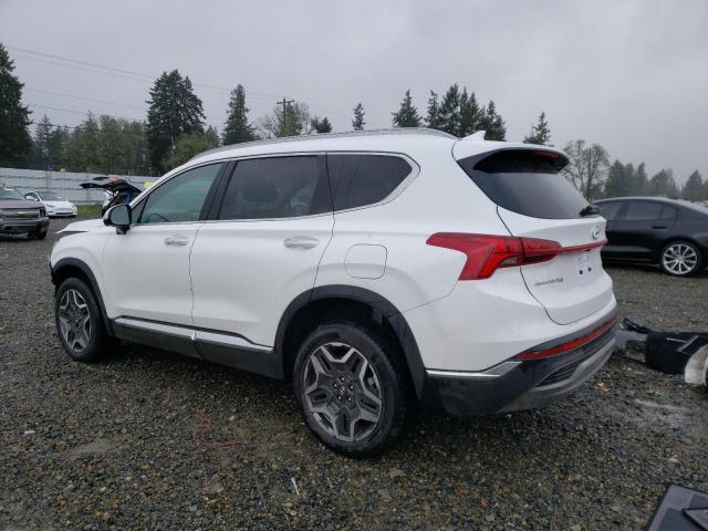 2023 Hyundai Santa Fe Sel Premium VIN: 5NMS3DA19PH022698 Lot: 41948134