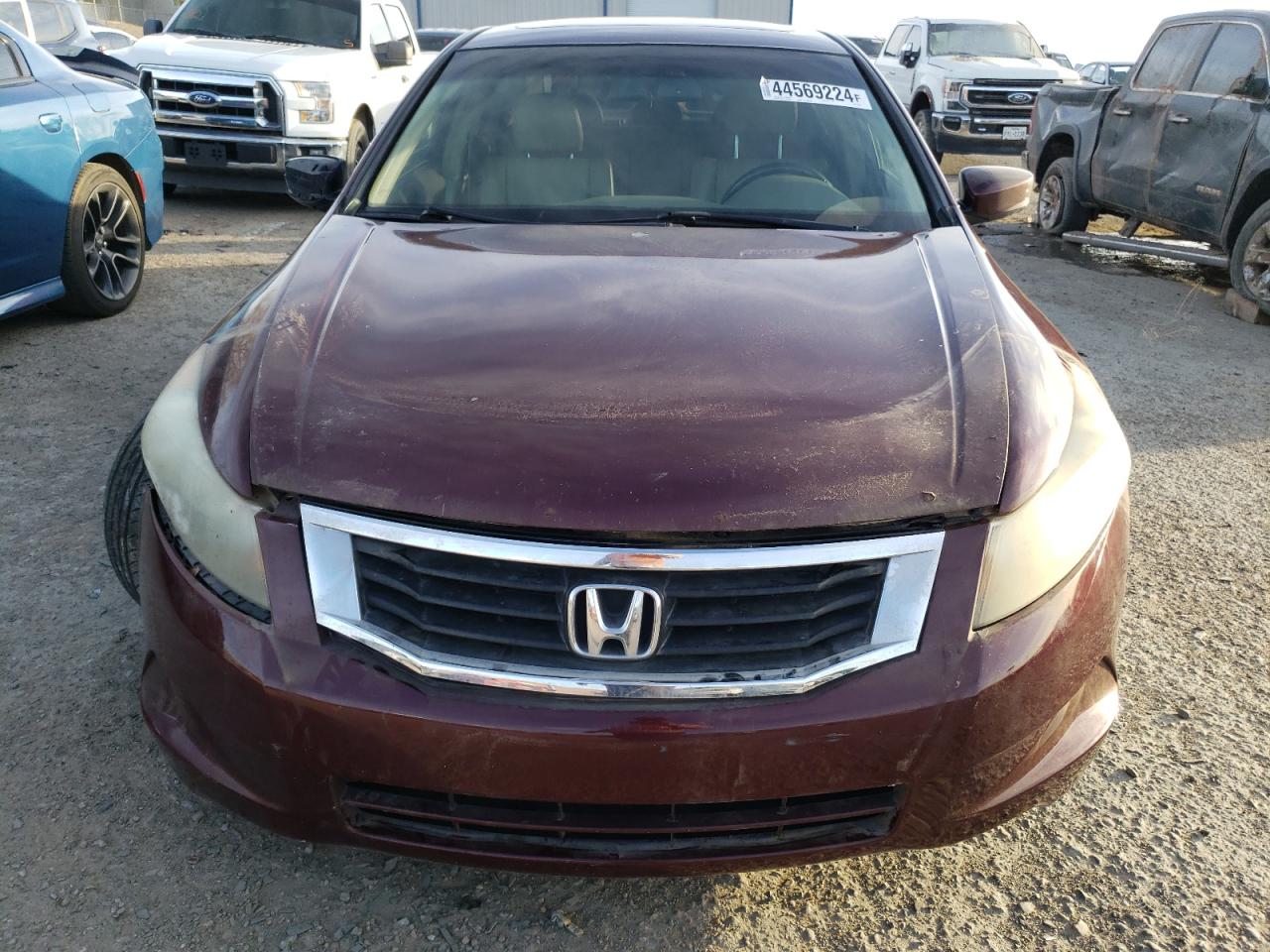 JHMCP26888C044581 2008 Honda Accord Exl