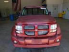 DODGE NITRO R/T photo