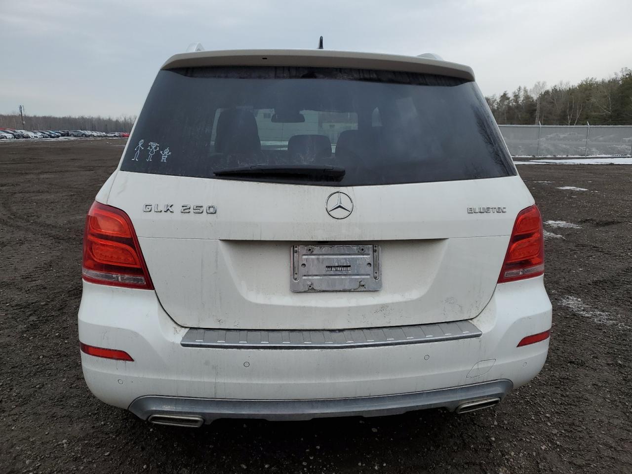 WDCGG0EBXDG135403 2013 Mercedes-Benz Glk 250 Bluetec