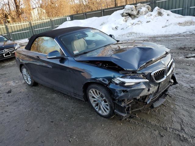 VIN WBA1L9C58GV325335 2016 BMW 2 Series, 228 Xi Sulev no.4