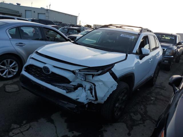 2023 TOYOTA RAV4 WOODL - 2T3UWRFV0PW152731