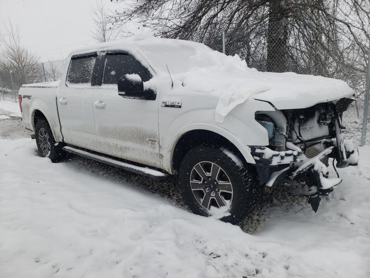 1FTEW1EP6HFB41549 FORD F-150 2017