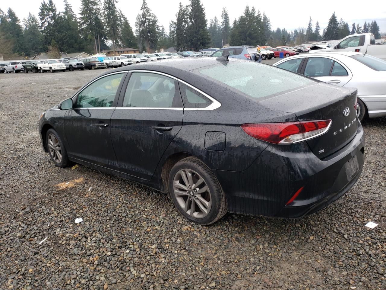 5NPE24AF9KH741036 2019 Hyundai Sonata Se