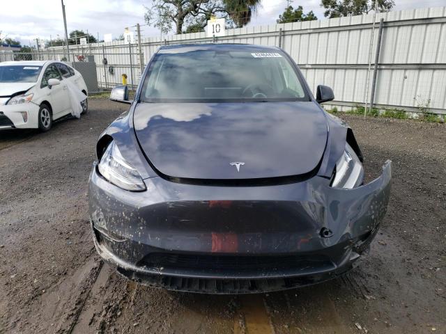 2023 Tesla Model Y VIN: 7SAYGDEE2PF585690 Lot: 42464474