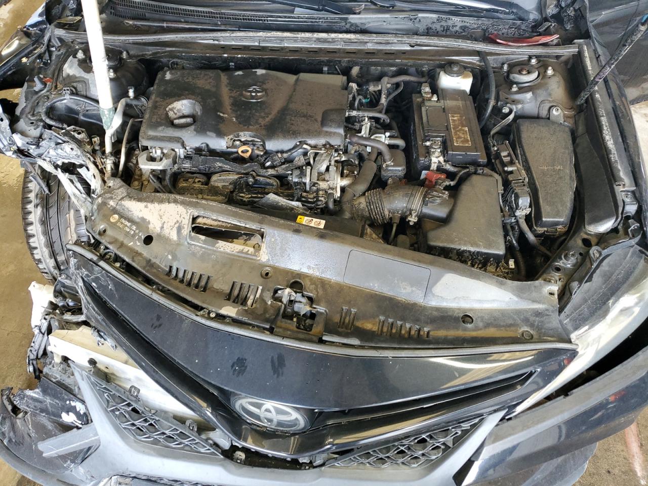 4T1B11HK5KU794809 2019 Toyota Camry L
