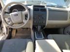 FORD ESCAPE XLS photo