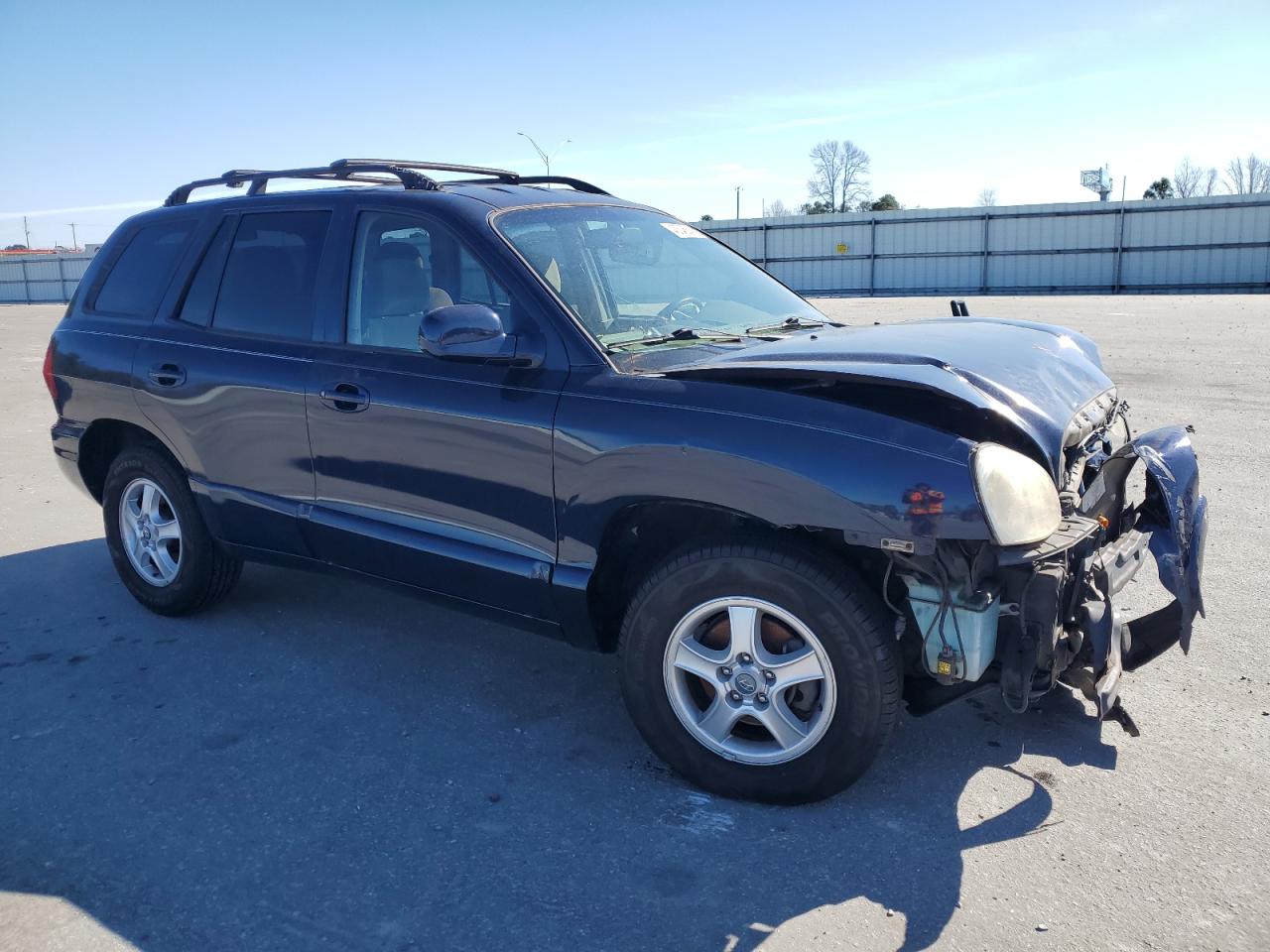 KM8SC13E14U579636 2004 Hyundai Santa Fe Gls