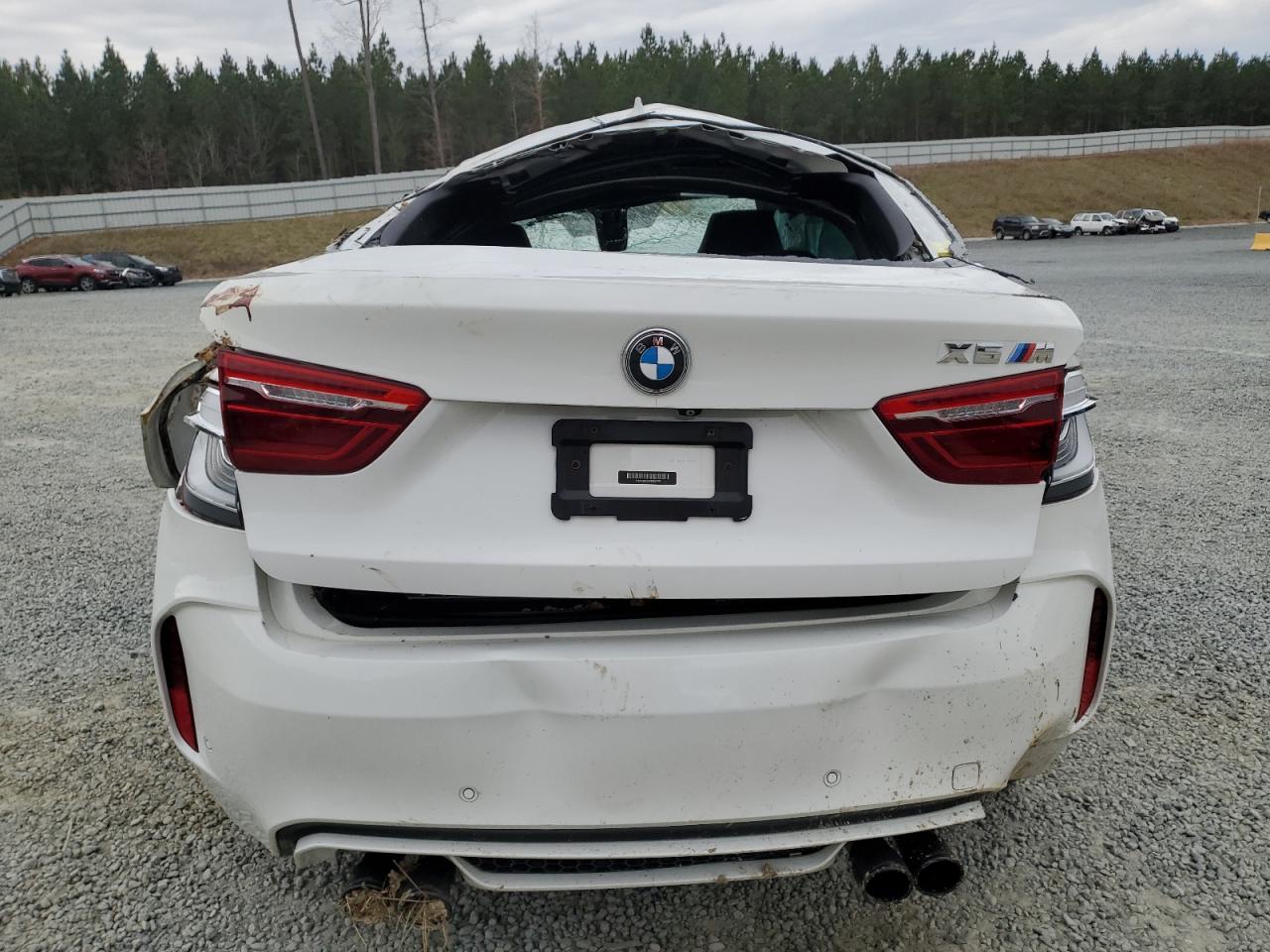 5YMKW8C50F0R42787 2015 BMW X6 M