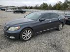 LEXUS LS 460 photo