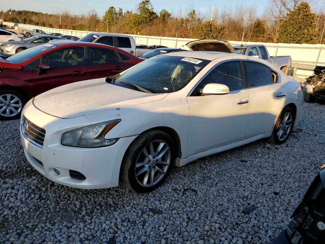 Lot #2524292048 2011 NISSAN MAXIMA S