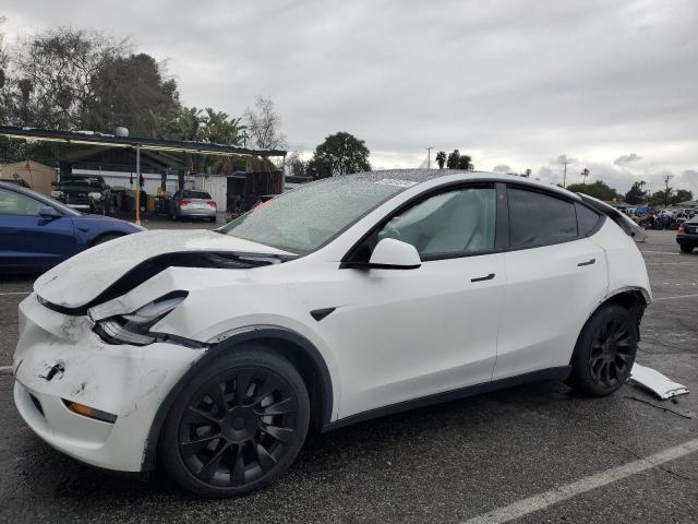 Lot #2522008718 2020 TESLA MODEL Y salvage car