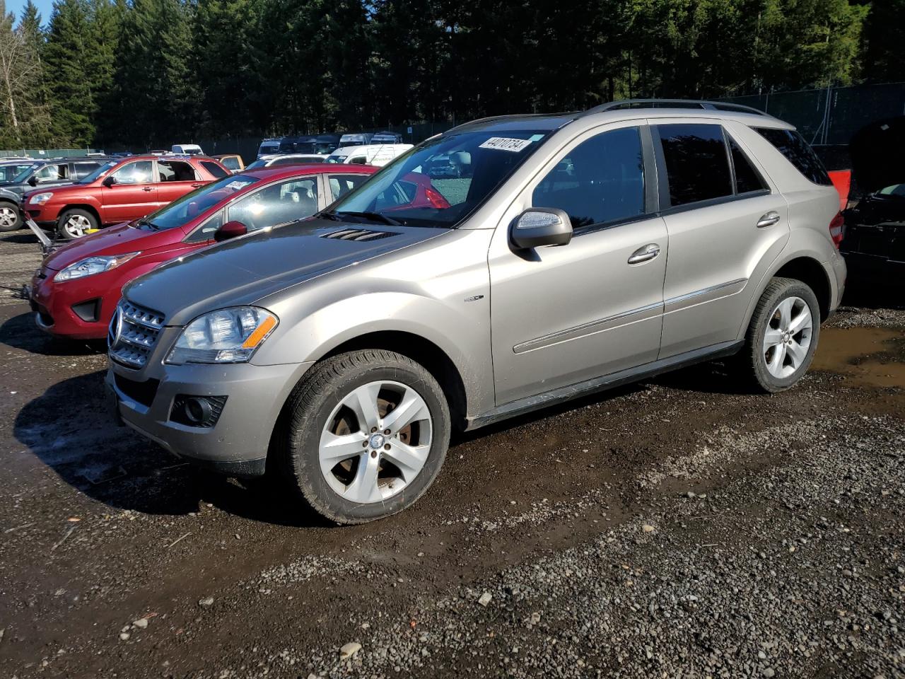 4jgbb25e89a483159 4JGBB25E89A483159 2009 Mercedes-Benz Ml