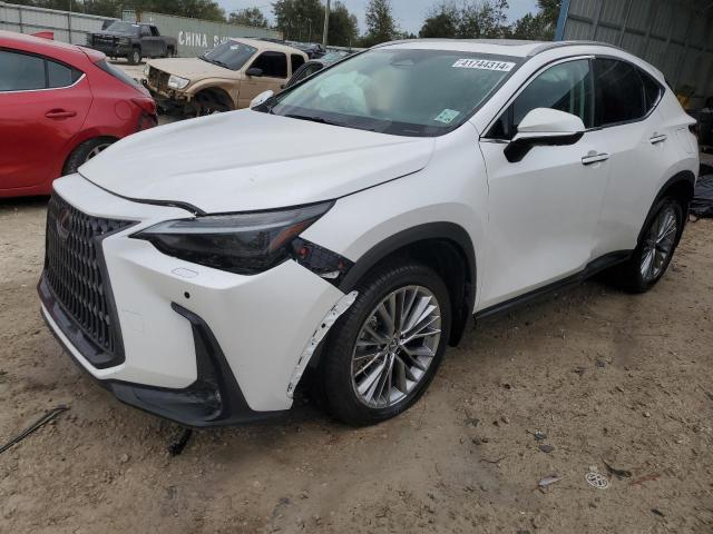 2T2HGCEZ5NC006876 Lexus NX 350 