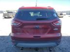 Lot #3030526464 2016 FORD ESCAPE SE