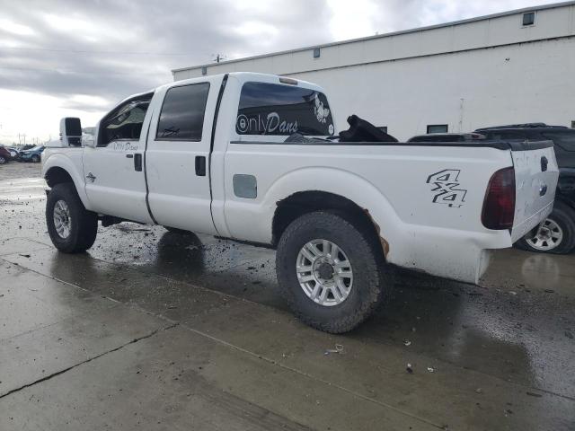 2011 Ford F250 Super Duty VIN: 1FT7W2BT9BEB28095 Lot: 43809074