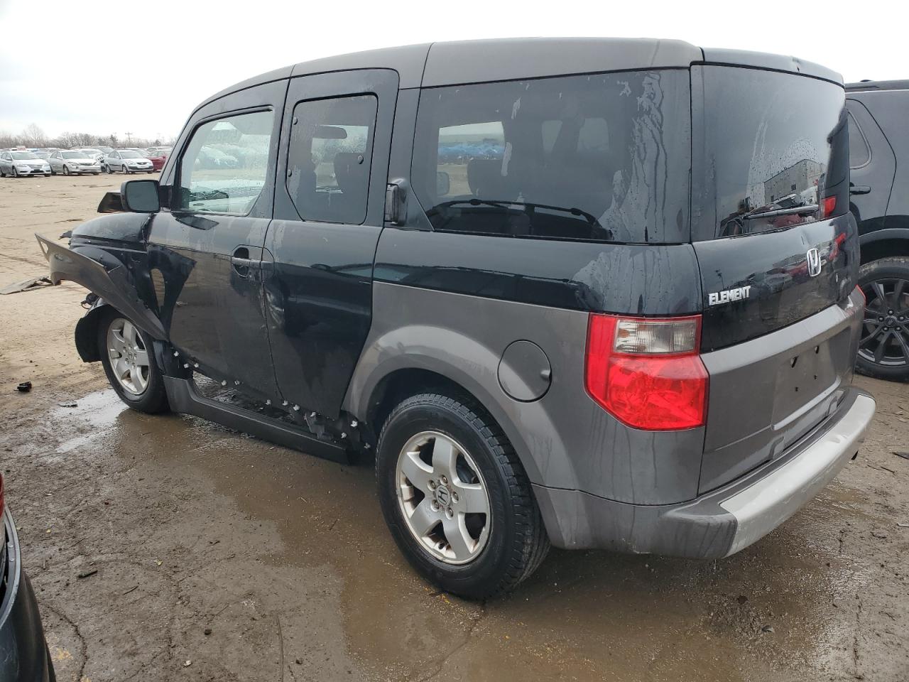 Lot #2986762279 2003 HONDA ELEMENT EX