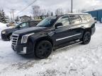 2015 CADILLAC ESCALADE P - 1GYS4CKJ7FR272600