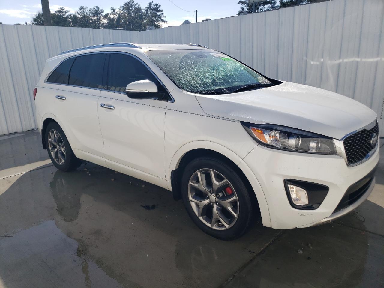 5XYPK4A53GG107445 2016 Kia Sorento Sx