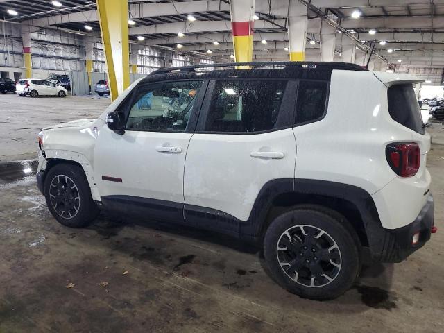 2023 Jeep Renegade Trailhawk VIN: ZACNJDC18PPP60029 Lot: 41250124