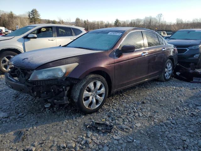 2010 Honda Accord Exl VIN: 5KBCP3F88AB007452 Lot: 42505874