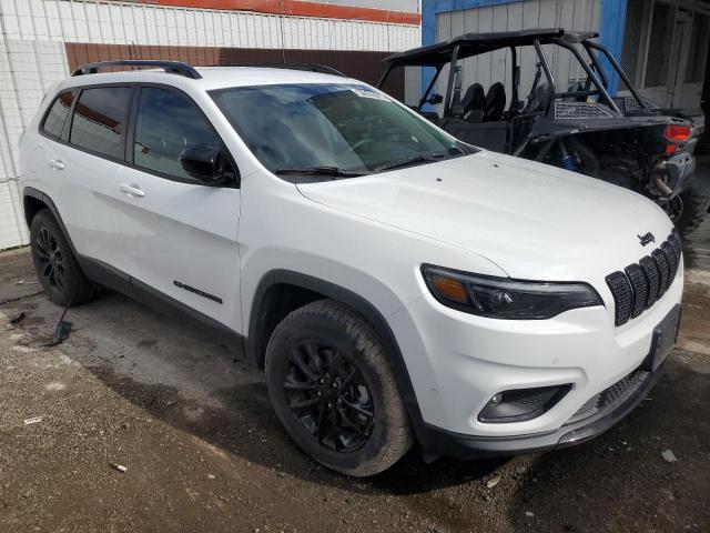 2023 JEEP CHEROKEE A 1C4PJMMB6PD112884
