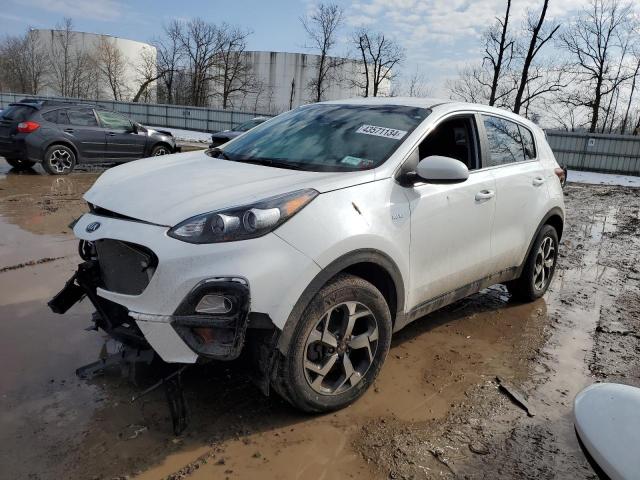 2022 Kia Sportage Lx VIN: KNDPMCACXN7953147 Lot: 43571134