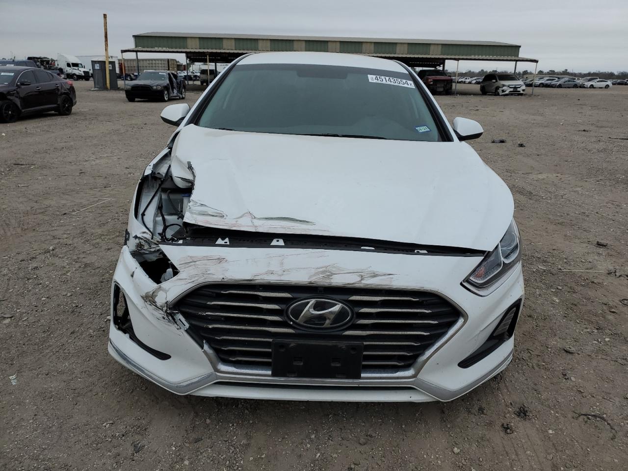 5NPE24AF0KH806629 2019 Hyundai Sonata Se