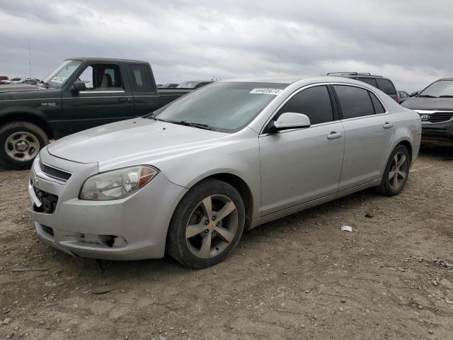 Lot #2392684365 2011 CHEVROLET MALIBU 1LT salvage car