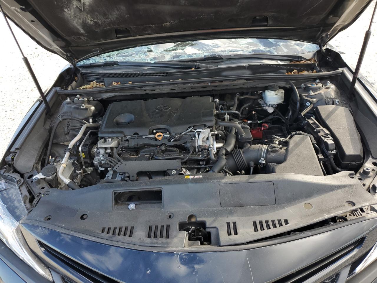 4T1B11HK1KU212057 2019 Toyota Camry L