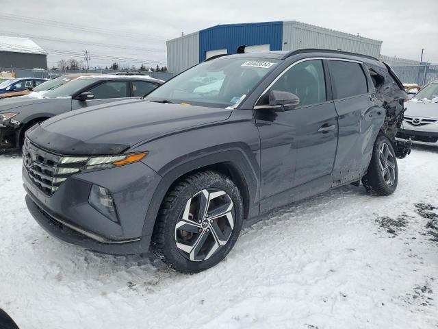 2022 Hyundai Tucson Luxury VIN: KM8JCCA14NU015956 Lot: 40402614