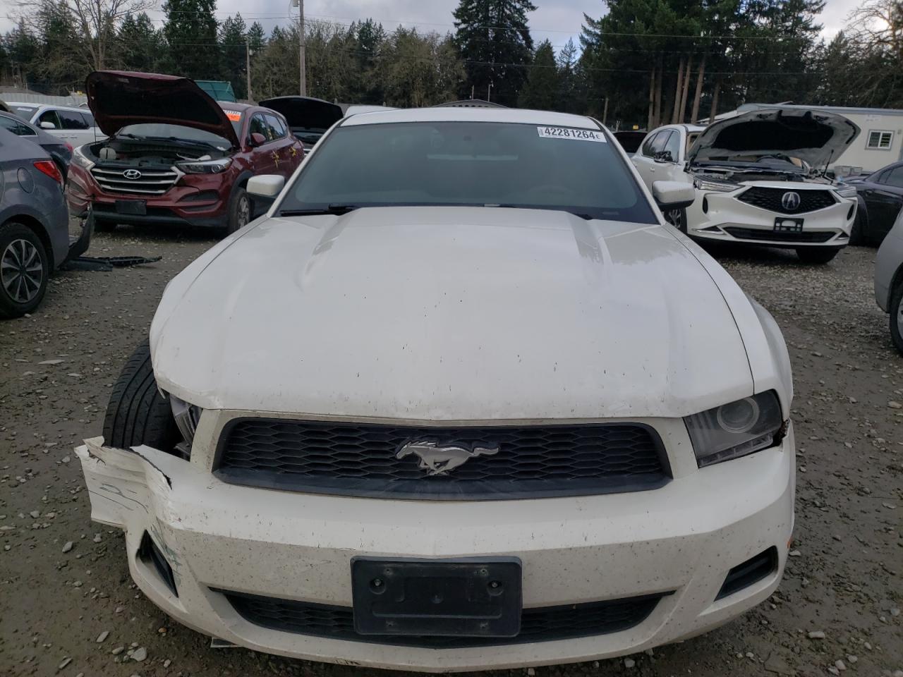 1ZVBP8AN5A5146862 2010 Ford Mustang