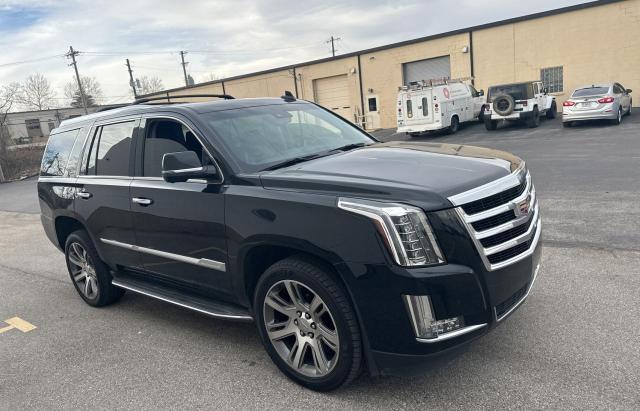 2016 Cadillac Escalade Luxury