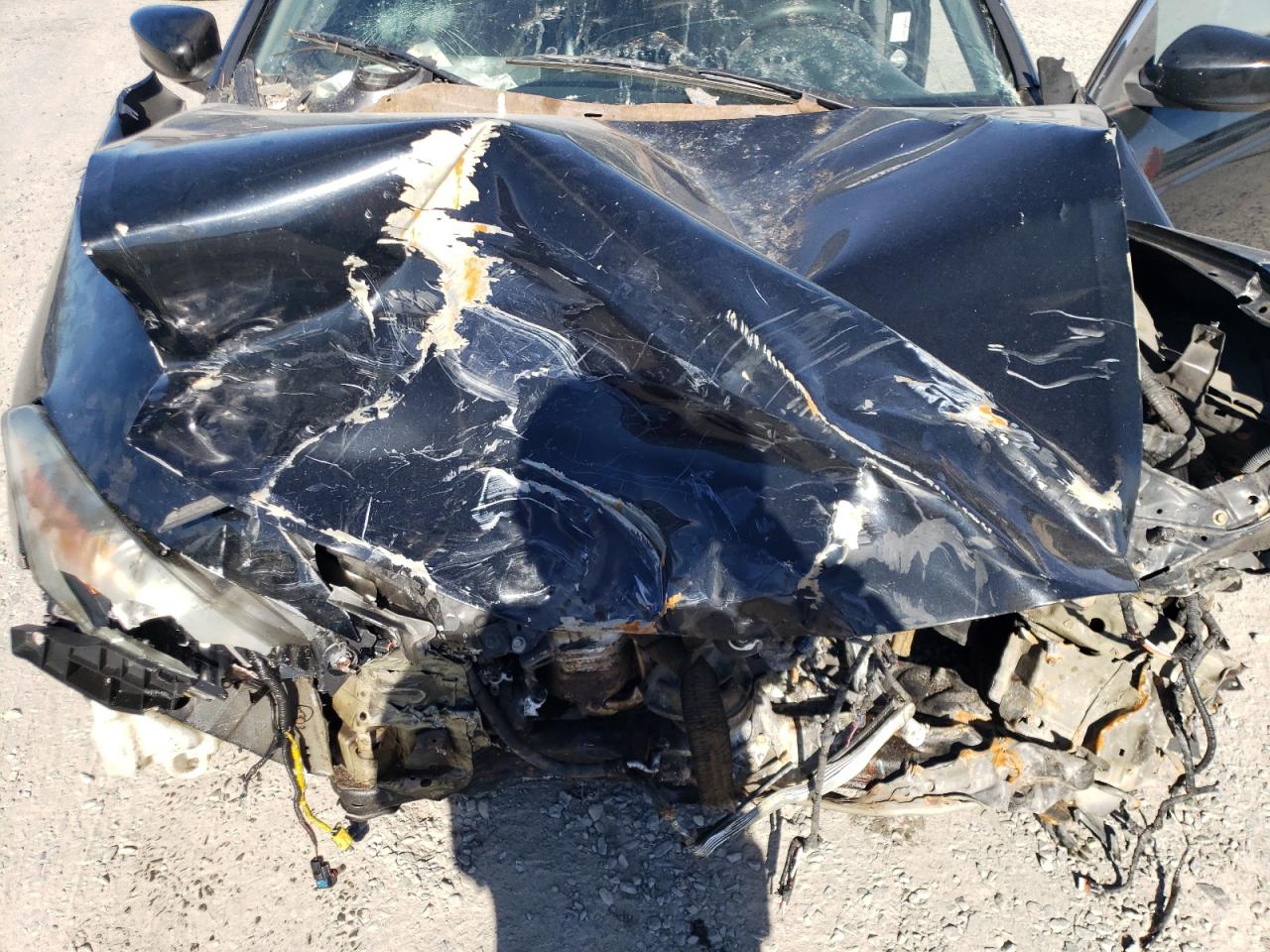 1HGCS22889A004909 2009 Honda Accord Exl