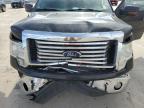 FORD F150 2WD photo