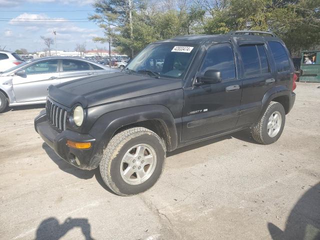 Lot #2428579601 2002 JEEP LIBERTY LI salvage car