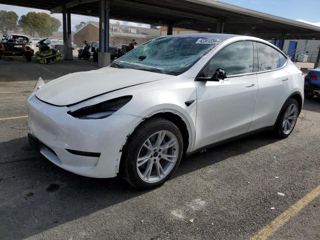 2023 TESLA MODEL Y 7SAYGDEE7PF738354