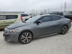 2017 NISSAN MAXIMA 3.5 - 1N4AA6AP9HC457311