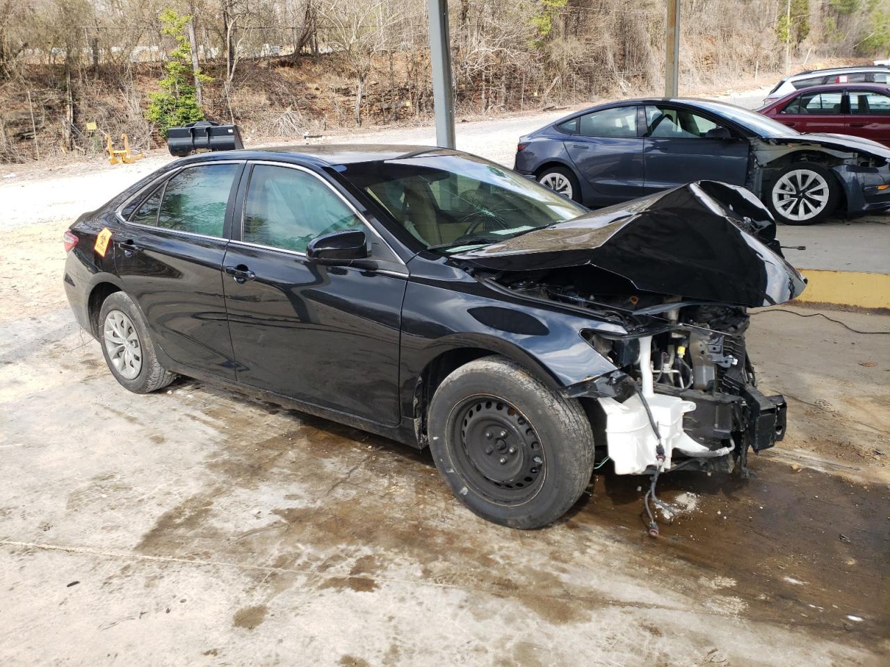 Global Auto Auctions