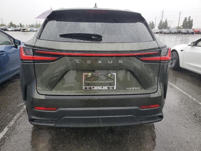 2024 LEXUS NX 250 BAS 2T2ADCAZ2RC009885