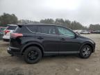 TOYOTA RAV4 LE photo