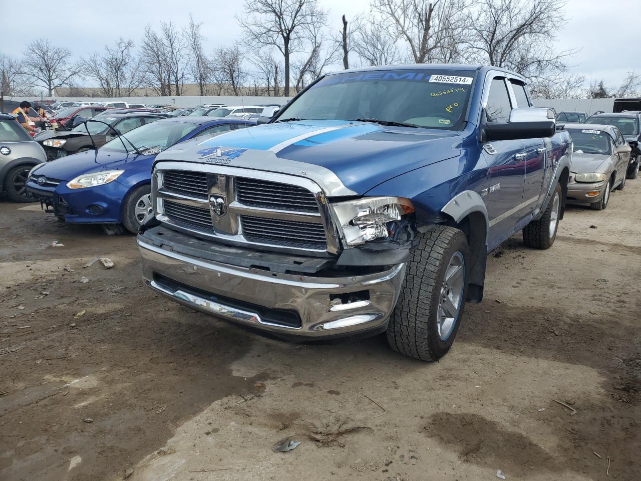 Dodge Ram 2010 DS