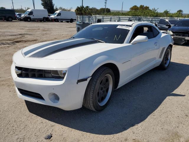 2011 Chevrolet Camaro Ls VIN: 2G1FA1ED6B9145814 Lot: 43822554