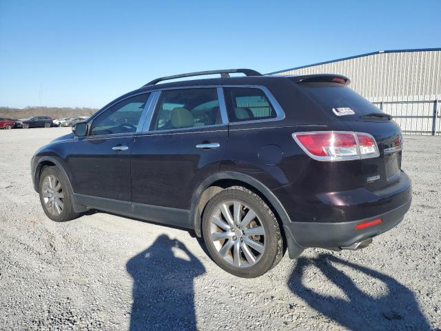 2009 Mazda Cx-9 VIN: JM3TB38V090170372 Lot: 43549044