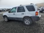 FORD ESCAPE HEV photo